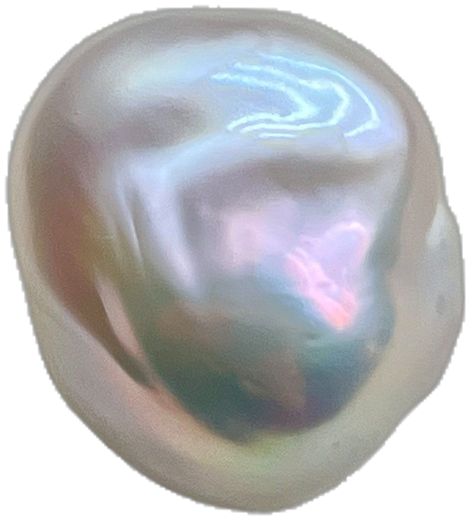 Pearlescent Skin, Druid Dnd, Pretty Shells, Murmuration Art, Dnd Oc, Reference Pics, Insta Inspiration, Rainbow Pearl, Personal Aesthetic