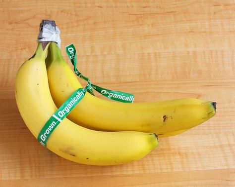 Because they're germ carriers, it's important to keep fruit flies from your bananas. Fortunately, there are plenty of simple and effective repellents and methods that can help keep your kitchen — and bananas — pest-free. Banana Storage, How To Store Bananas, Keep Bananas Fresh, How To Store Apples, Fly Infestation, Storing Fruit, Fruit Fly, Banana Fruit, Fly Repellant