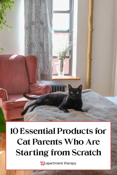 Cat Owner Must Haves, First Time Cat Owner Checklist, What Do You Need For A New Kitten, Cat Starter Kit, Best Cat Accessories, Apartment Cat Hacks, New Cat Owner Tips, Cat Owner Tips, New Cat Owner