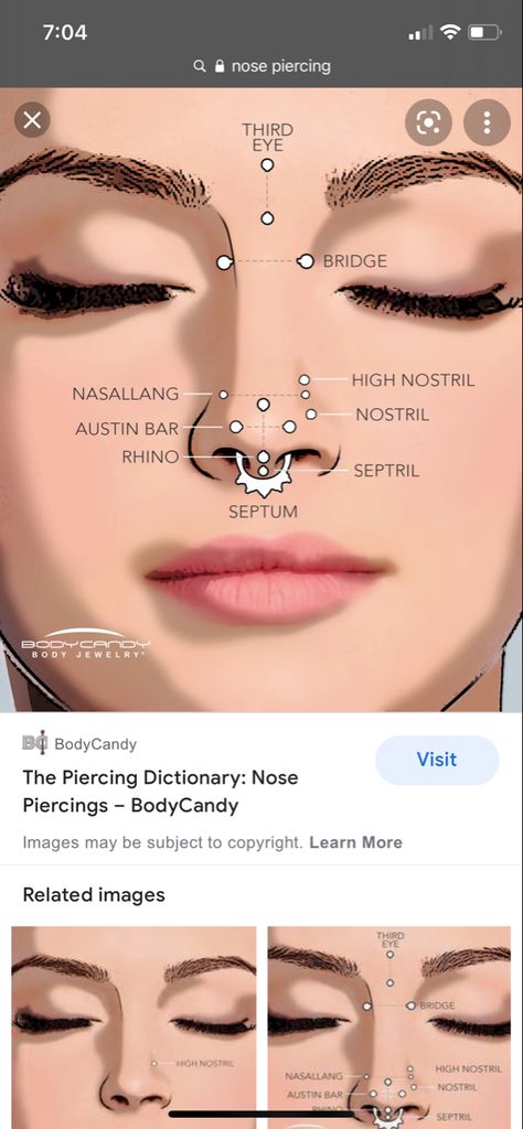 Nose Piercing Names Chart, Piercing Names Face, Nose Piercing Diagram, Nose Peirce Chart, Nose Piercing Guide, Nose Piercing Placement Chart, Nose Piercing Chart, Piercing Apprenticeship, Peircings Name Chart