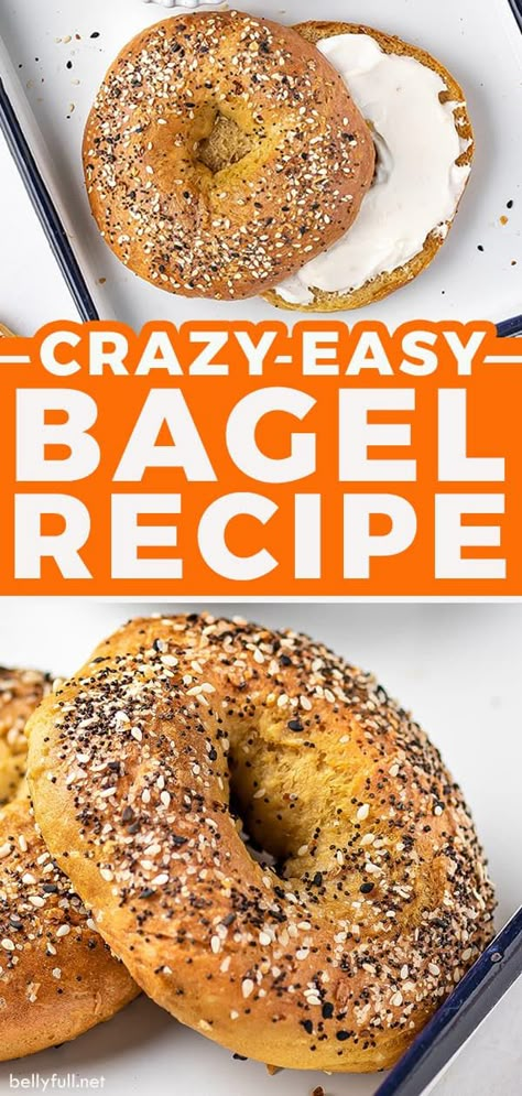 Bagel Recipes Easy, Bagels With Instant Yeast, Easy Bagel Recipe No Yeast, Everything Bagel No Knead Bread, Quick Bagels Recipe, Quick And Easy Bagels, Bagles Recipe Healthy, Yeast Free Bagels, Bagel Recipe With All Purpose Flour