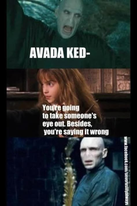 100 Harry Potter Memes That Will ~Always~ Make You Laugh Meme Harry Potter, Citate Harry Potter, Glume Harry Potter, Funny Harry Potter Jokes, Harry Potter Memes Hilarious, Buku Harry Potter, Harry Potter Puns, Images Harry Potter, Harry Potter Hermione