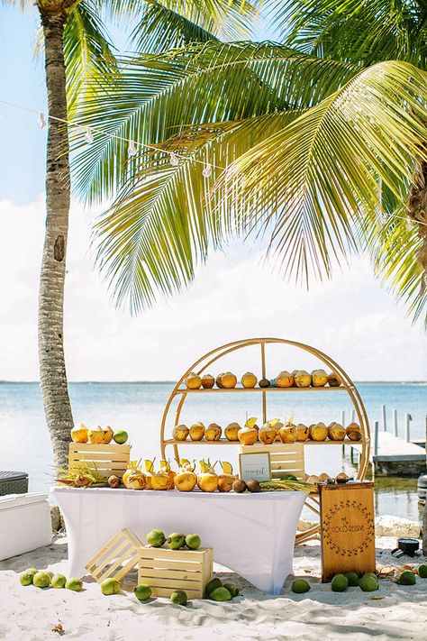 Wedding Ideas 2024, Summer Wedding Ideas, Dream Beach Wedding, Summer Wedding Decorations, Grass Wedding, Summer Wedding Outdoor, Pittsburgh Weddings, Tropical Theme, Welcome To The Party