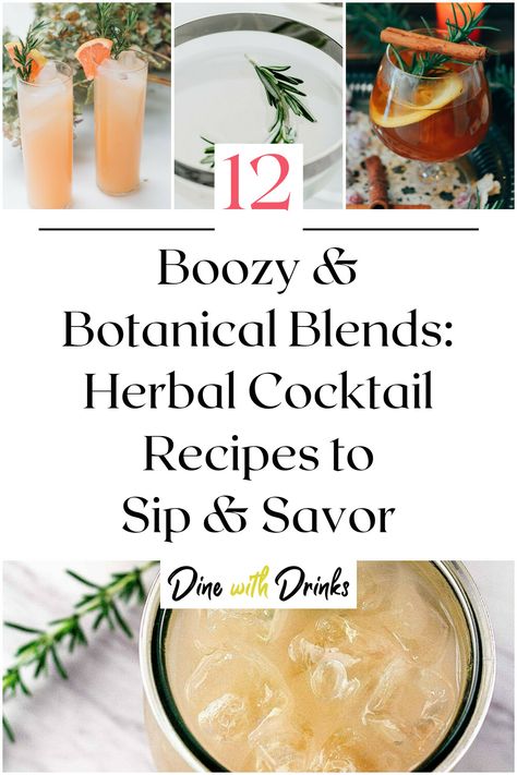 Collage of 4 herbal cocktails. Botanical Drinks, Plant Themed Cocktails, Herb Infused Mocktails, Botanical Drinks Cocktails, Botanical Cocktails, Bartender Recipes, Botanical Gin Cocktail, Craft Cocktails, Mixology