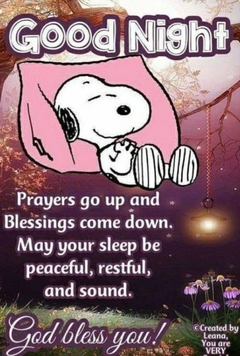 Christian Good Night Quotes, Goodnite Sweet Dreams, Goodnight Blessings Faith, Snoopy Good Night, Nighty Night Quotes, Sweet Dreams Sleep Tight, Good Night Blessings Quotes, Goodnight Everyone, Good Night Prayer Quotes