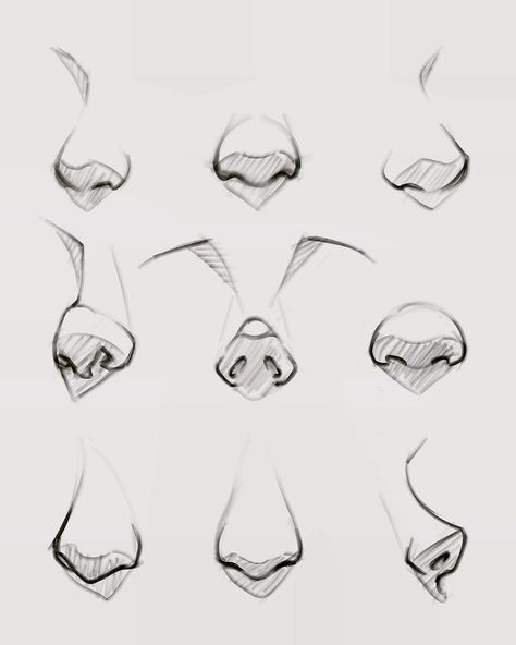 Straight Nose Drawing, Small Nose Drawing, Nose Shapes Reference, Front View Face Drawing, Simple Hair Drawing, Face Shapes Drawing, Nose Drawing Reference, Noses Drawing, Cartoon Nose