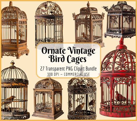 Elevate your creative projects with the timeless charm of our Ornate Vintage Bird Cages Clipart Bundle. This carefully curated collection of antique birdcage illustrations brings a touch of nostalgia and shabby chic elegance to your designs. Here's what this enchanting bundle has to offer: - Vintage Elegance: Immerse your designs in the allure of a bygone era with intricately designed vintage birdcages. Each clipart showcases ornate details, capturing the essence of antique craftsmanship. The timeless dignity of these birdcages adds a sophisticated touch to your projects. - High-Resolution Quality: Ensure that your designs radiate with clarity and detail. The clipart in this bundle boasts a high resolution of 300 DPI, providing sharp and lifelike images that enhance the visual appeal of yo Vintage Bird Decor, Vintage Bird Cages, Vintage Bird Cage Decor, Antique Birdcage, Chicken Aesthetic, Antique Bird Cages, Caged Bird, Vintage Bird Cage, Vintage Bird