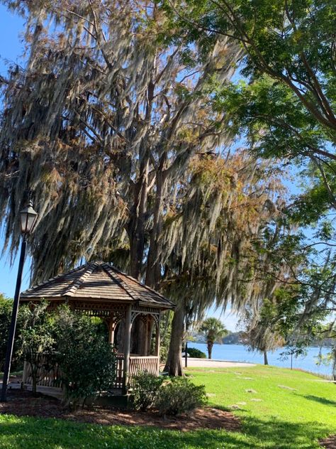 lake, trees, nature, aesthetic, granola Rollins College, Lakeside View, Winter Park Florida, Florida Water, Spring Breakers, Alan Walker, Winter Park, Pretty Things, Florida