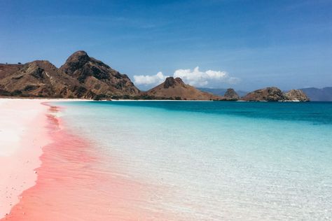 Pantai Merah beach Indonesian Komodo Island Australia Migration, Thailand Destinations, English Today, Island Wallpaper, Komodo Island, Komodo, Beaches In The World, Beautiful Nature Wallpaper, Most Beautiful Beaches