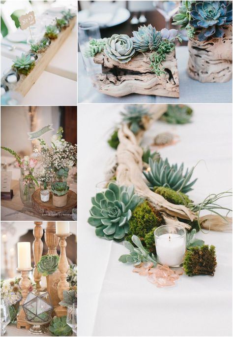 Nature Inspired Centerpieces, Driftwood Wedding, Succulent Wedding Centerpieces, Beach Centerpieces, Tafel Decor, Succulent Centerpieces, Wedding Floral Centerpieces, Succulent Wedding, Wedding Centerpieces Diy