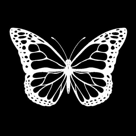 Butterflies Aesthetic, Ios Photos, Butterfly Black And White, Aesthetic Widget, Photo Widget, Ceiling Design Modern, Overlays Transparent, Ios App Icon Design, Widget Icon