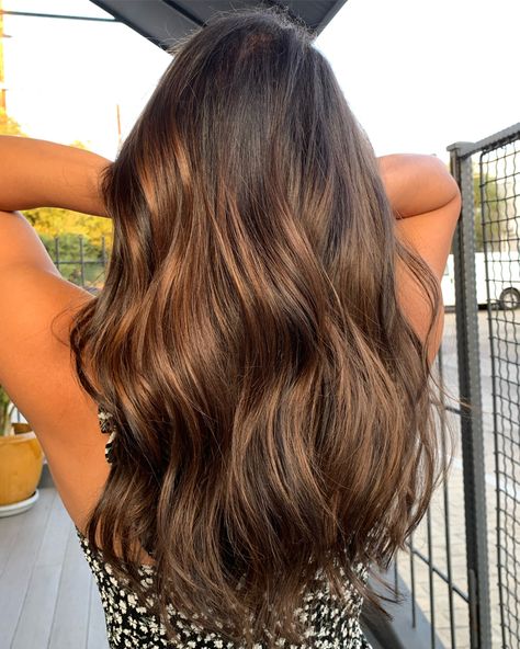 Bronze Brown Hair, Brown Wavy Hair, Brunette Balayage, Natural Highlights, Brunette Balayage Hair, Brown Hair Balayage, Hair Balayage, Hair Summer, Balayage Brunette