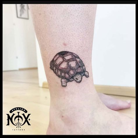 Top 81 Best Small Turtle Tattoo Ideas - [2020 Inspiration Guide] Gopher Tortoise Tattoo, Sulcata Tortoise Tattoo, Tortoise Tattoo Ideas, Painted Turtle Tattoo, Land Turtle Tattoo, Box Turtle Tattoo, Snapping Turtle Tattoo, Turtle Tattoo Ideas, Small Turtle Tattoo