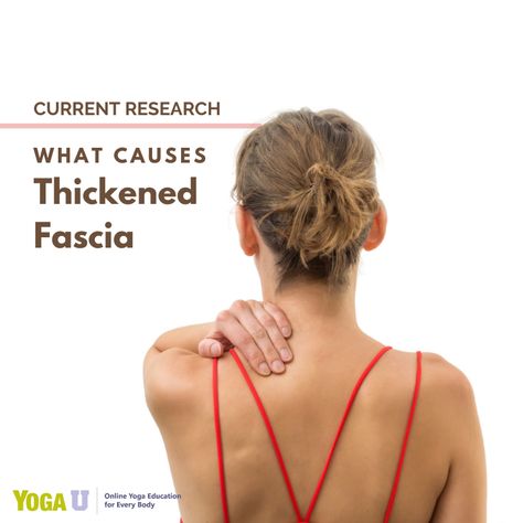 Thickened Fascia can contribute to decreased range of motion and both conditions are contributing factors for pain. Dr Russell Schierling explains the latest research and how this problem can be detected rather easily with ROM measurements. https://www.yogauonline.com/yoga-anatomy/current-research-what-causes-thickened-fascia #yogaanatomy #fascia #yogateachertraining #yoga #yogateacher #yogaeverydamnday #teachyoga #businessofyoga #formationyoga #beginnersyoga #professionalyogateacher Fascia Exercises Stretching, Fascia Exercises, Fascia Training, Fascia Release, Fascia Stretching, Fascia Blasting, Core Exercises For Beginners, Fascia Blaster, Myofascial Pain Syndrome