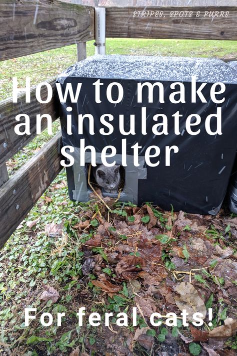 DIY Feral cat shelter Diy Outdoor Shelter For Cats, Winter Feral Cat Shelter, How To Build A Feral Cat Shelter, Easy Outdoor Cat Shelter, Diy Outside Cat Shelter For Winter, Feral Cat Shelter Winter Building, Outside Cat Box For Winter, Homemade Cat Shelter, How To Build An Insulated Cat House