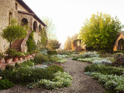 Tuscan Landscape Design, Tuscan Backyard, Italian Backyard, Luciano Giubbilei, Hornbeam Hedge, Tuscan Landscape, Entrance Garden, Tuscan Garden, Tuscan Landscaping