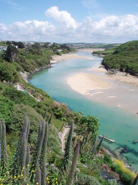 Crantock Cornwall, Echium Pininana, Beach England, Crantock Beach, Uk Beach, Cornwall Beaches, Newquay Cornwall, Cornwall Uk, Into The West