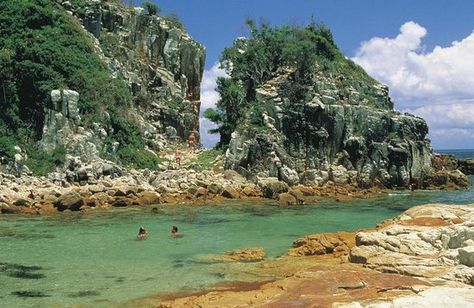 Crowdy Bay National Park, New South Wales, Australia Port Macquarie, Australian Travel, Diamond Head, School Holiday, Camping Area, Nsw Australia, North Coast, Nature Trail, Future Travel