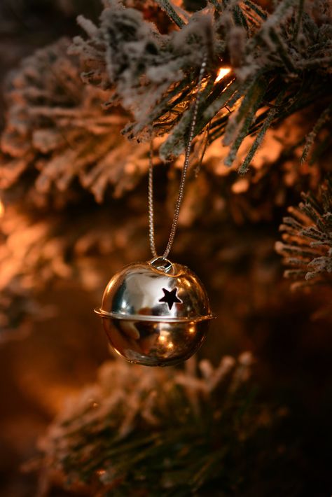 Silver Bells | A simple ornament from the Christmas tree. Ho… | Flickr Christmas Bells Aesthetic, Christmas Tree Ornaments Aesthetic, Christmas Tree With Bells, Silver Christmas Aesthetic, Silver Bells Christmas, Silver Bells, Silver Christmas, Christmas Aesthetic, Christmas Bells