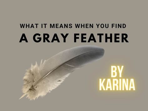 Gray Feather Meaning & Symbolism | KarinasTarot.com Feather Meanings Symbols, Dove Feather Meaning, Seeing Feathers Meaning, Gray Feather Spiritual Meaning, Feather Symbolism Meaning, Grey Feather Spiritual Meaning, Grey And White Feather Meaning, Black And White Feather Meaning, Finding Feathers Meaning