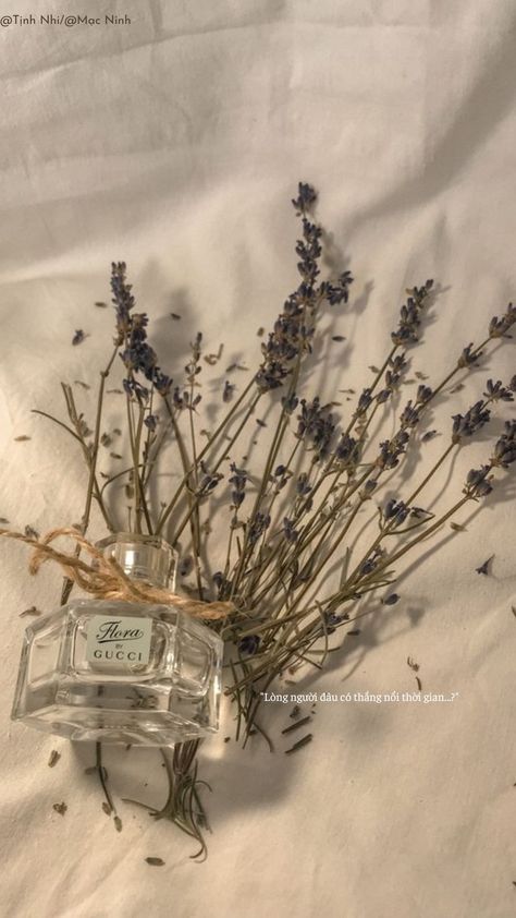 Flower Perfume Aesthetic, Lavender Smell Aesthetic, Lavender Perfume Aesthetic, Perfume Aesthetic, Lavender Perfume, Flower Perfume, Picsart Tutorial, Dried Lavender Flowers, Lavender Brown