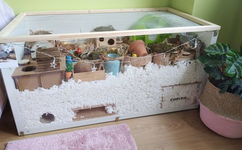 Big Hamster Enclosure, Linmon Ikea Hamster Cage, Mouse Bin Cage, Ikea Hamster Cage Diy, Bin Cage Ideas For Hamsters, Linnmon Hamster Cage, Aquarium Hamster Cage, Syrian Hamster Enclosure, Ikea Linnmon Hamster Cage