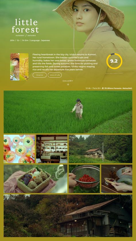 Forest Summer, Movie Synopsis, Film Recommendations, Little Forest, Japanese Animated Movies, Movie To Watch List, New Movies To Watch, Inspirational Movies, Animes To Watch