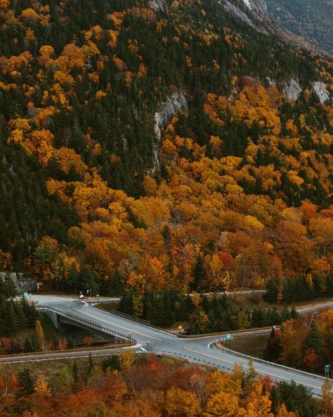 AUTUMN 🍁 from the east coast to the west coast 1. Stowe, Vermont 2. Kebler Pass, Colorado 3. Cambridge, Vermont 4. Maple Pass, North Cascades Washington 5. Quinault Rainforest, Washington 6. Maine 7. Utah 8. Stowe, Vermont 9. Acadia National Park, Maine 10. Conway, New Hampshire 11. Willamette Valley, Oregon 12. Stowe, Vermont 13. Glidden Point Oyster Farm, Maine 14. White Mountains, New Hampshire 15. Quinault Rainforest, Washington 16. Rockland, Maine Quinault Rainforest, Cascades Washington, Conway New Hampshire, Willamette Valley Oregon, White Mountains New Hampshire, Rockland Maine, Acadia National Park Maine, Stowe Vermont, Willamette Valley