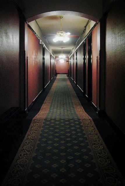 Free Image on Pixabay - Hallway, Hotel, Spooky, Creepy Elisa Lam, Hotel Hallway, Scenic Road Trip, Haunted Hotel, Point Pleasant, Hotel California, Art Video, American Horror Story, West Virginia