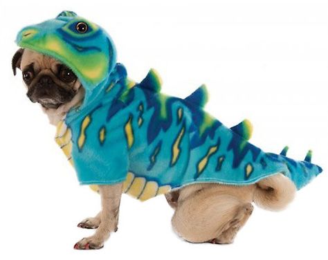 Ideas Para Halloween, Dino Hoodie, Dinosaur Halloween Costume, Dinosaur Halloween, Cat Halloween Costume, Dinosaur Costume, Animal Costumes, Dog Halloween Costumes, Dog Costumes