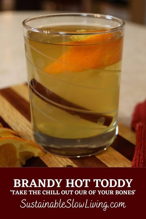 Hot Toddy Recipe Brandy, Brandy Drink, Brandy Recipe, Hot Toddies Recipe, Brandy Cocktails, Herbal Drinks, Hot Toddy, Alcohol Drink Recipes, Party Drinks