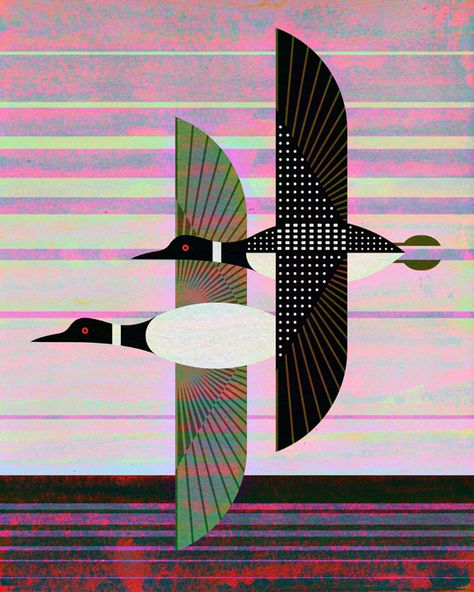 Loon Illustration, Scott Partridge, Charley Harper Art, Charlie Harper, Common Loon, Charley Harper, Bird Quilt, Arte Animal, Bird Drawings