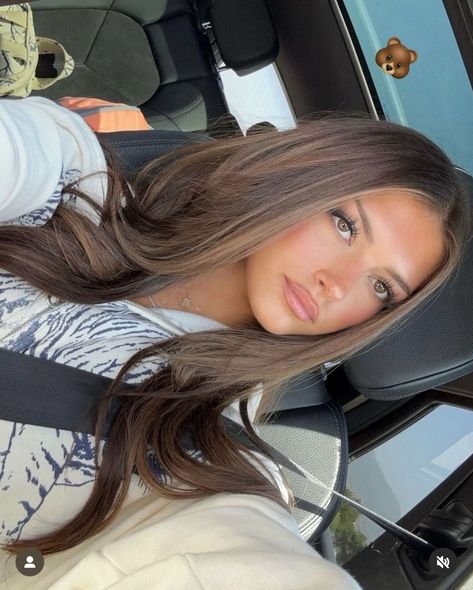 Blonde Strands In Brown Hair, Tabitha Swatosh Hair, Tone Brown Hair, Rambut Brunette, Black Hair Balayage, Summer Highlights, Brown Hair Looks, Brown Hair Inspo, Brunette Hair With Highlights