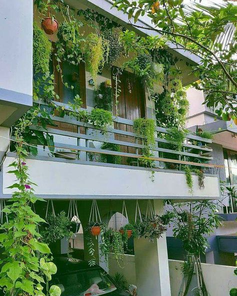 Klein Balkon Decor, Apartment Balcony Garden, Indian Room Decor, Indian Bedroom Decor, Small Balcony Garden, India Home Decor, Terrace Decor, Courtyard Gardens Design, Small Balcony Design