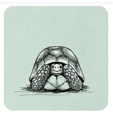 Tortoise Drawing, Tortoise Tattoo, Turtle Tattoo Designs, Turtle Drawing, Writing Blog, Tortoise Turtle, Turtle Tattoo, Turtle Love, Turtle Art