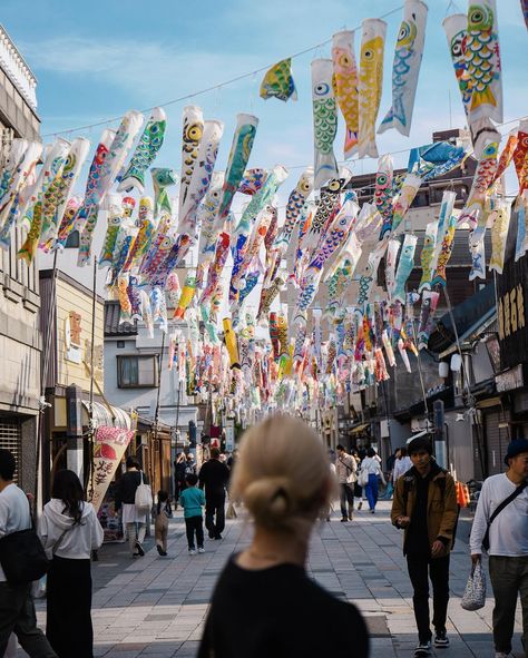 Caught these koinobori (aka carp streamers, usually displayed around Golden Week for Children’s Day) in Kawagoe this year 🎏 Koinobori Art, Carp Streamer, Koinobori Illustration, Koo Koo Kangaroo Gonoodle, Japanese Fish Kite, Golden Week, Carp, Koi, Van