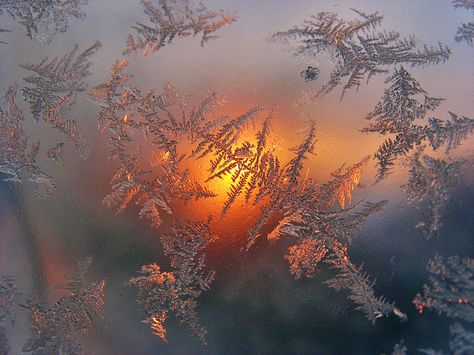 Snow Beauty, Ice Aesthetic, Ice Photo, Ice Photography, Sun Aesthetic, Orange Glow, The Setting Sun, Winter Frost, I Love Winter