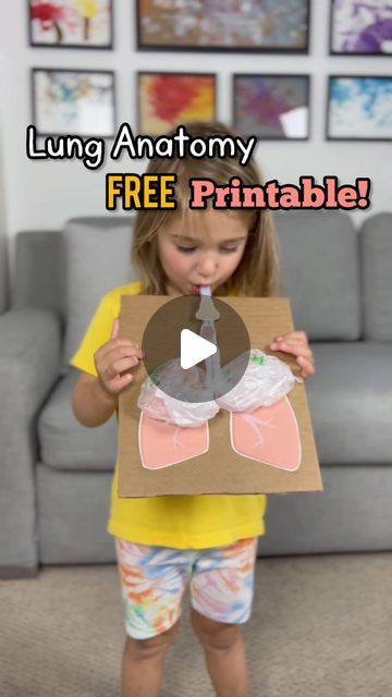 Lungs Experiment For Kids, Lung Crafts For Kids, Exibition Idea For Kids, Lungs Activities For Kids, Lung Activity For Kids, Lungs Experiment, Lungs Activity, Science Decoration Ideas, Respiratory System Projects