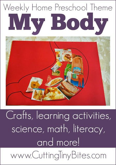 MY BODY theme home preschool. Crafts, math, books, science, literacy, fine motor work and more! Perfect amount of EASY activities for one week of homeschool pre-k. Home Preschool, Books Science, Body Preschool, Human Body Activities, Science Literacy, All About Me Preschool, Human Body Unit, Body Craft, Pre K Activities