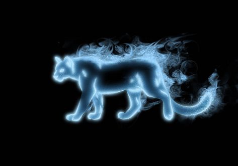 Patronus Quiz, Patronus Harry Potter, Ravenclaw Aesthetic, Harry Potter Theme, Mountain Lion, Remus Lupin, Harry Potter World, Httyd, Harry Potter Fan