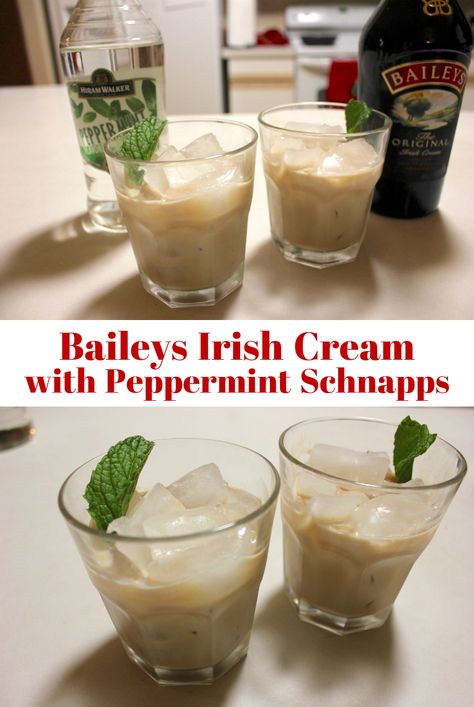 Baileys Irish Cream with Peppermint Schnapps Holiday Drink. An easy holiday drink or Christmas cocktail recipe with a touch of mint! Baileys Christmas, Baileys Recipes Drinks, Holiday Drinks Alcohol Christmas, Easy Holiday Drinks, Baileys Dessert, Baileys Drinks, Dinner Recipes Ideas, Peppermint Schnapps, Holiday Drinks Alcohol