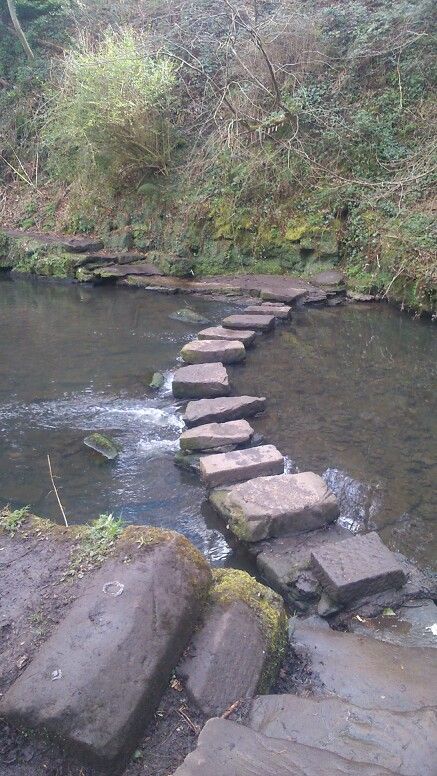 Jesmond dene Jesmond Dene, England History, North East England, Family Days Out, Newcastle Upon Tyne, Music Venue, Local Area, Places Of Interest, Beautiful City