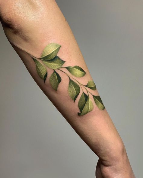 Tattoo artist Dasha Ebalotnaya | Moscow, Russia | iNKPPL Monstera Tattoo, Phoenix Tattoos, Green Tattoos, Leaf Tattoo, Vine Tattoos, Floral Tattoo Sleeve, Plant Tattoo, Botanical Tattoo, Tattoo Magazines