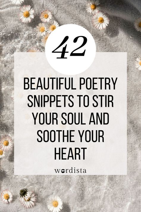 42 Beautiful Poetry Snippets to Stir Your Soul Short Poetry Quotes Aesthetic, Vintage Poetry Aesthetic, Short Poems On Life, Poetry Quotes Deep Love, Poems With Deep Meaning, Poems On Life, Poetry Quotes Deep, What Is Poetry, Old Poetry