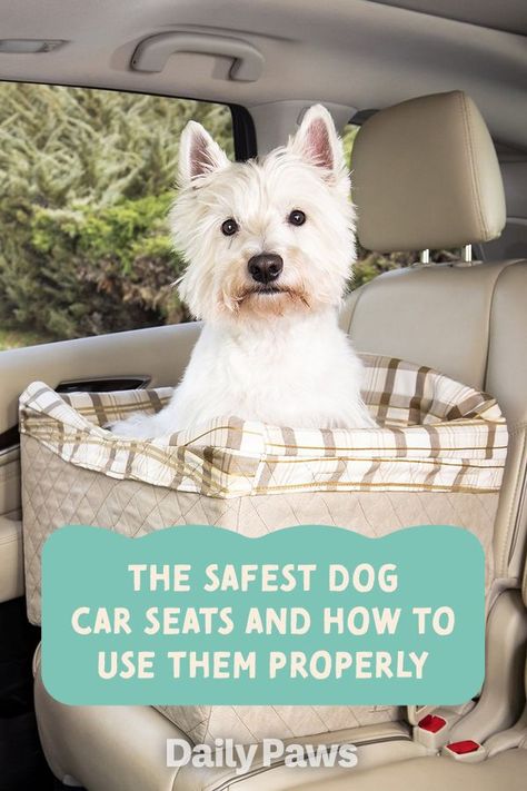 Give your dog a dedicated space in the car with a dog car seat. These are the 6 car seats we recommend to keep your dog safe while traveling. #petessentials #petgear #pettoys #treats #dogtoys #cattoys #cattreats #dogtreats #petexperience Dog Booster Seat For Car, Dog Seat For Car, Small Dog Car Seat, Puppy Car Seat, Dog Car Booster Seat, Dog Car Safety, Pet Diy, Booster Seats, Dog Corner