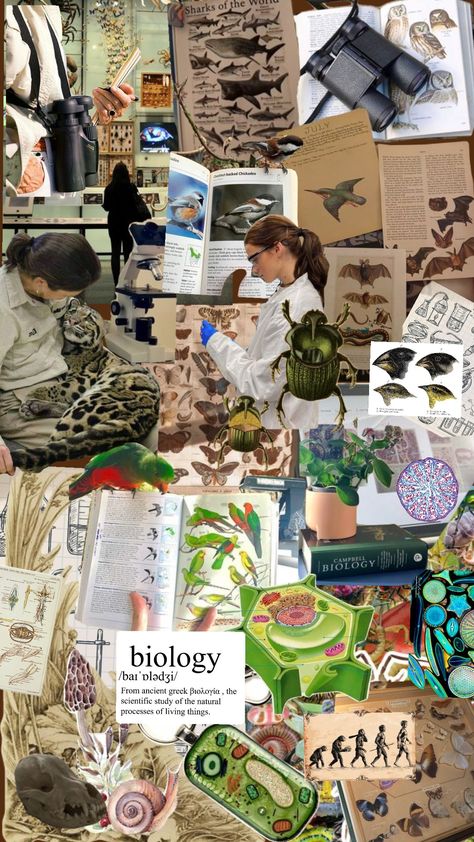 #naturalistcollage #collage #biology #biologystudent #biologyaesthetic #biologyshuffle #student #studentcore #science Biological Sciences Wallpaper, Marine Biology Collage, Science Students Aesthetic, Biological Sciences Aesthetic, A Level Biology Aesthetic, Biology Moodboard, Science Aesthetic Biology, Scientist Aesthetic Biology, Biology Collage