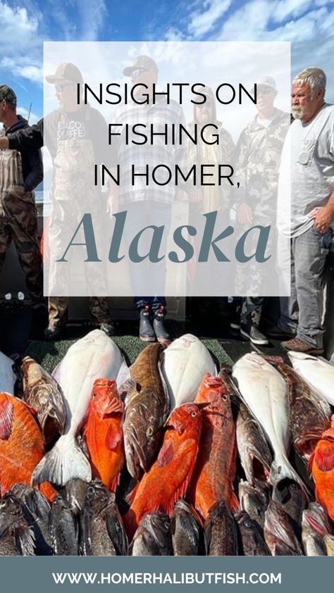 When I think of Homer, Alaska, I think of all the incredible adventures offered in the great outdoors! Above all, our favorite outdoor adventures is fishing Homer, Alaska. With Homer being the Halibut Capitol of the World, it only makes sense to experience what it’s like to fish these bountiful waters! Here, we explore fishing opportunities, choosing a charter, and preparing for your trip. Alaska Fishing Trip, Fishing In Alaska, Alaska Salmon Fishing, Halibut Fishing, Homer Alaska, Vision 2024, Alaska Fishing, Alaska Vacation, Fish Home