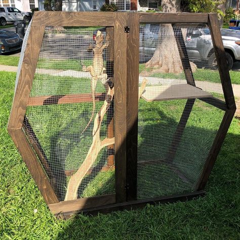 Iguana Enclosure, Rhino Iguana, Snake Breeding, Snake Breeds, Bearded Dragon Enclosure, Bearded Dragon Cage, Dragon Cave, Reptile Room, Outdoor Screens