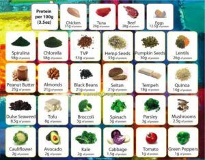 High Protein Foods List, Nutrition Chart, Vegan Nutrition, Different Vegetables, Protein Diets, Best Protein, Plant Protein, Proper Nutrition, Nutrition Plans