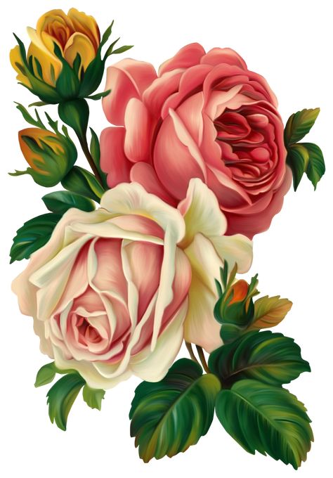 Illustration Rose, White Rose Flower, Vintage Bouquet, Rose Illustration, Victorian Flowers, Clip Art Vintage, Watercolor Flowers Paintings, Rose Art, Digital Flowers